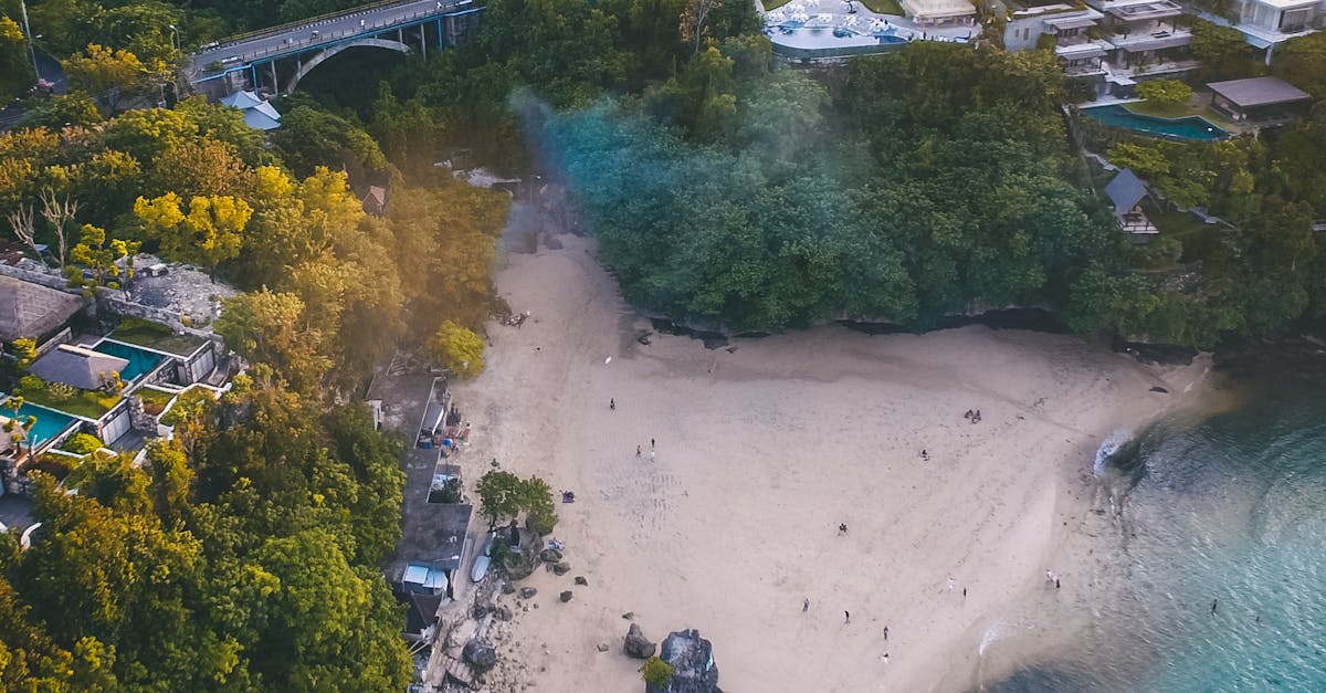 Capturing the Beauty: Photography Tips for Bali's Nature Parks