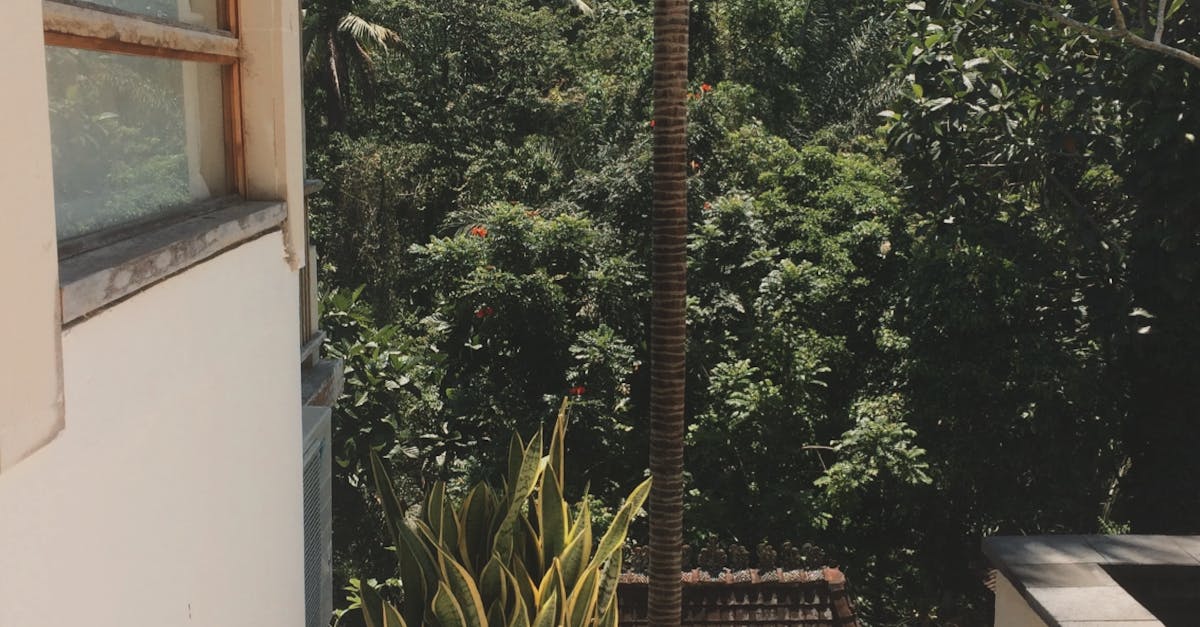 Top Nightlife Hotspots Near Short Term Rentals in Bali