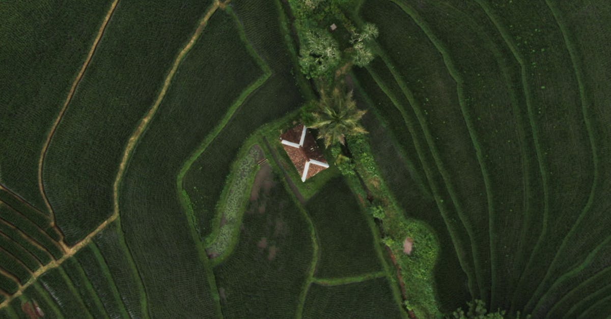 What to Expect During the Check-out Inspection in Bali Rentals